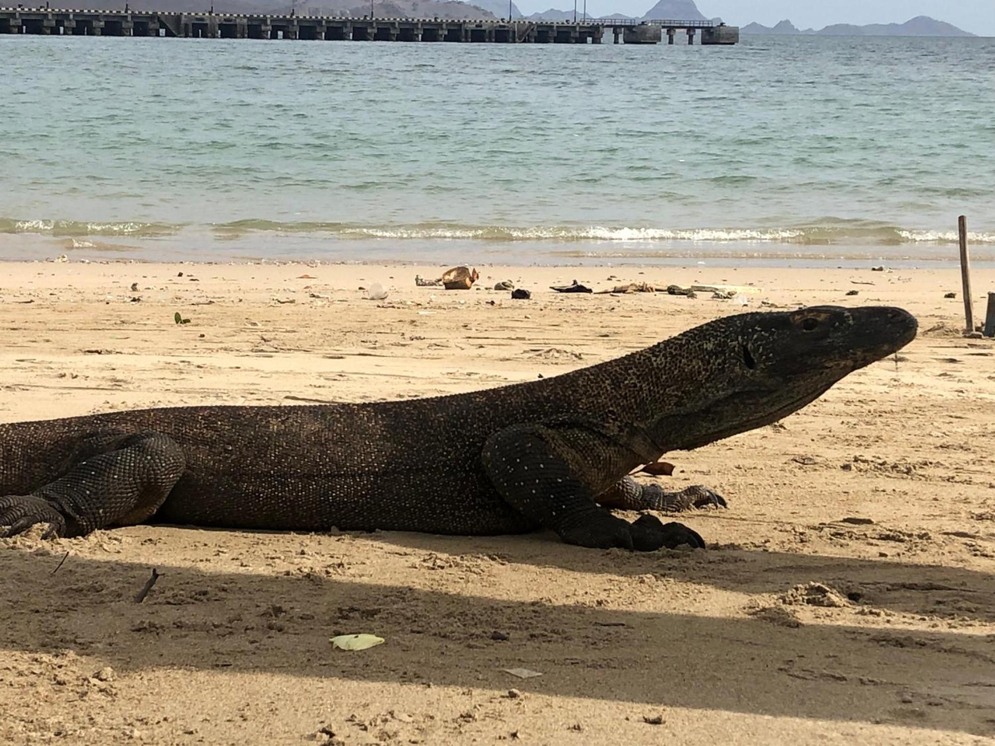 Dua Putri Komodo Homestay エクステリア 写真